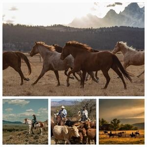 Western Horse Riding Ranch Gear